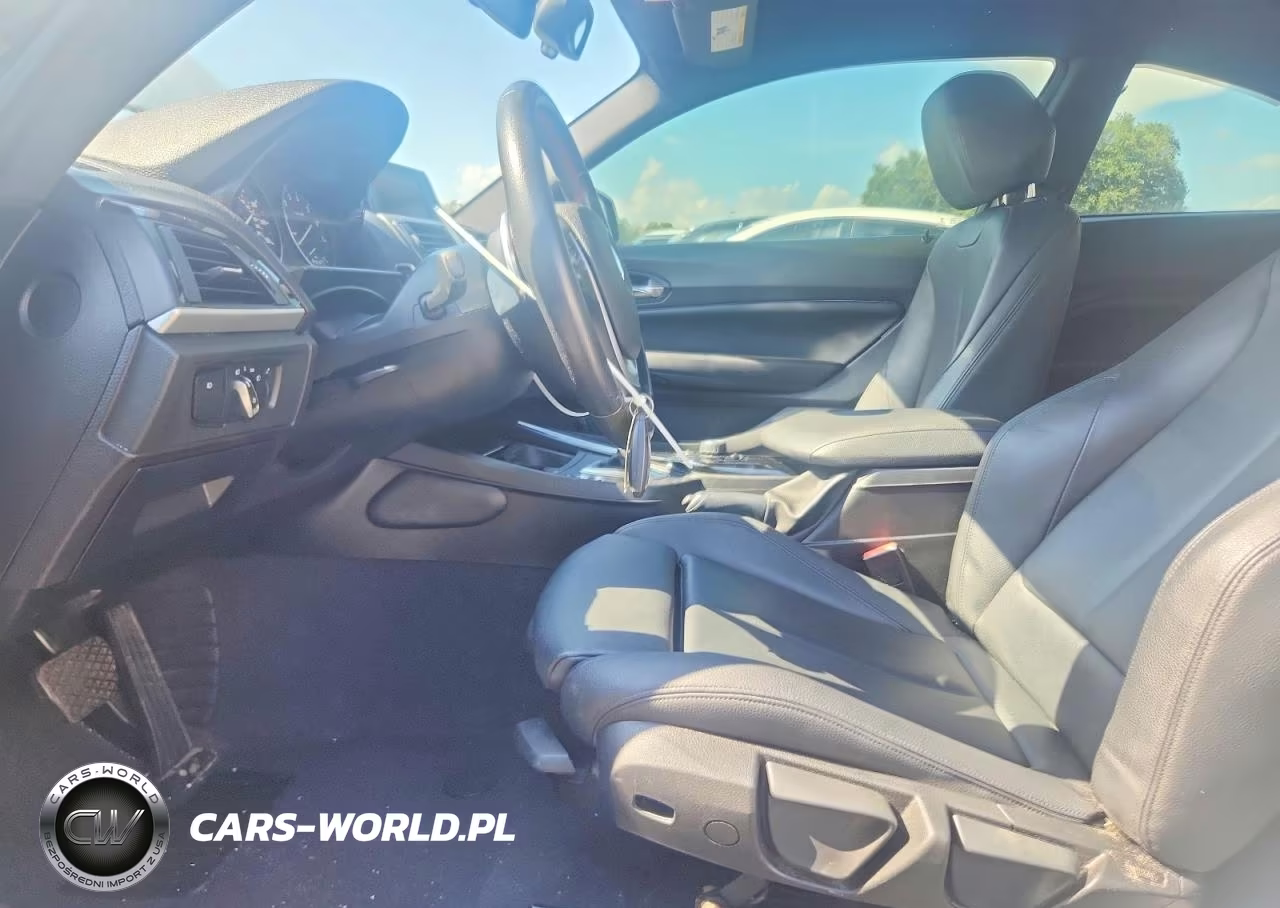 2016 BMW 228 I Sulev VIN:WBA1F9C56GV546634 - 7