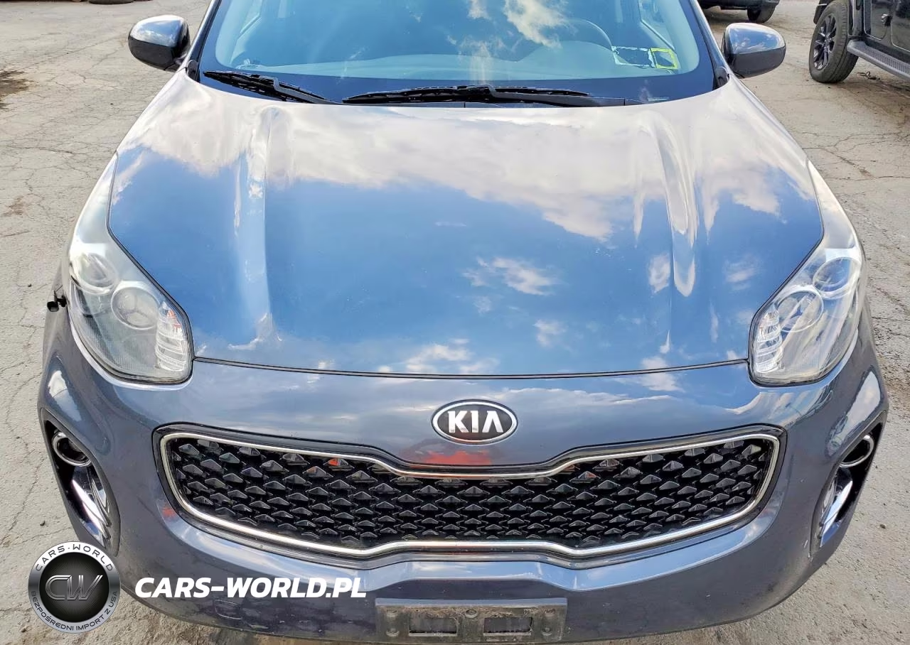 2019 Kia Sportage Lx VIN:KNDPMCAC9K7599729 - 12