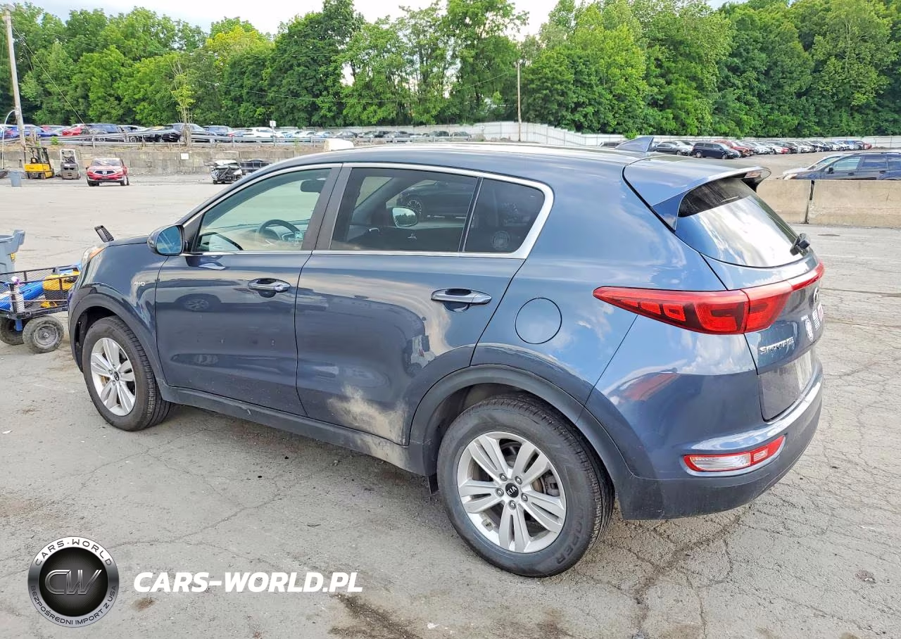 2019 Kia Sportage Lx VIN:KNDPMCAC9K7599729 - 2