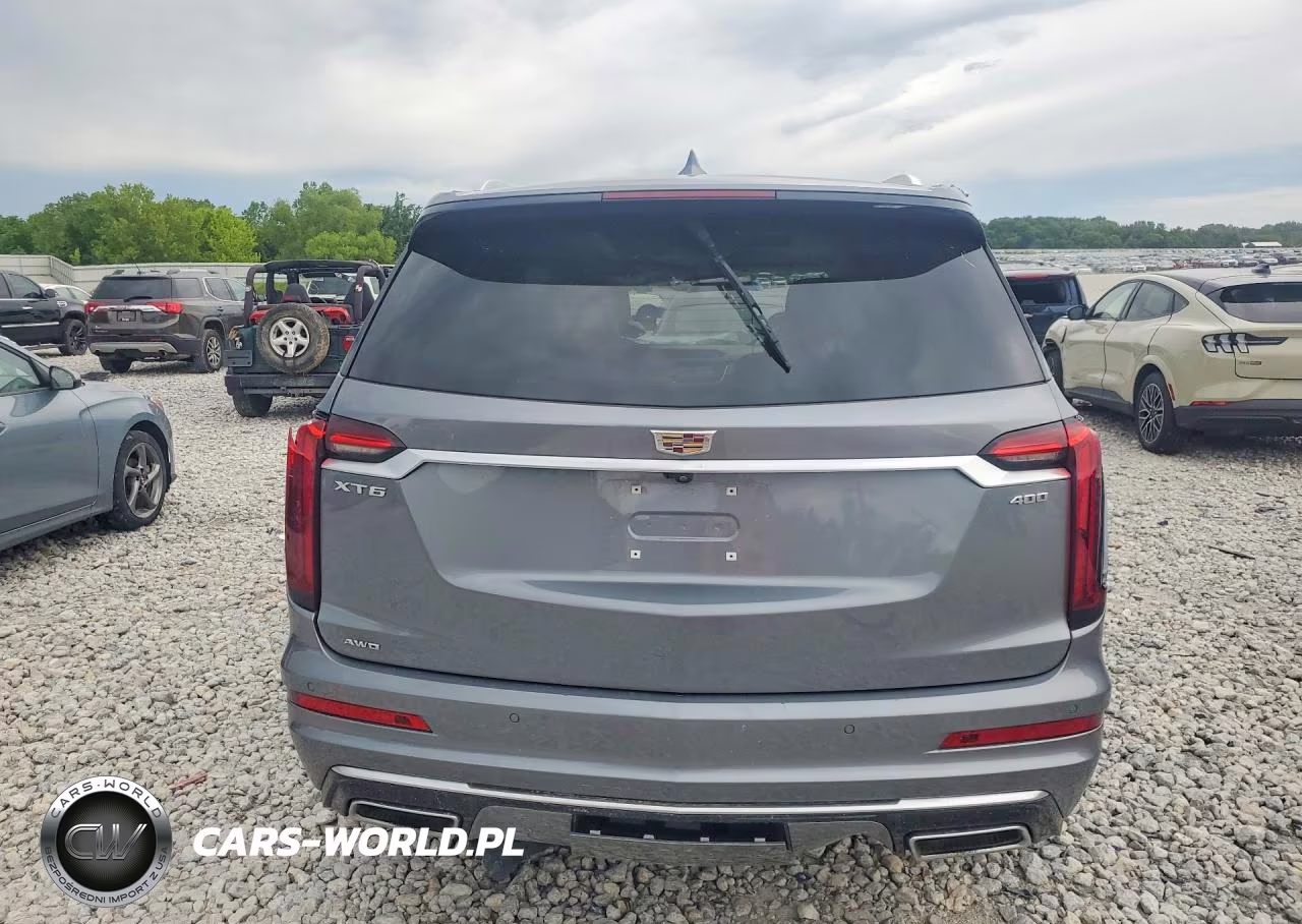 2020 Cadillac Xt6 Premium Luxury VIN:1GYKPDRS5LZ211625 - 6