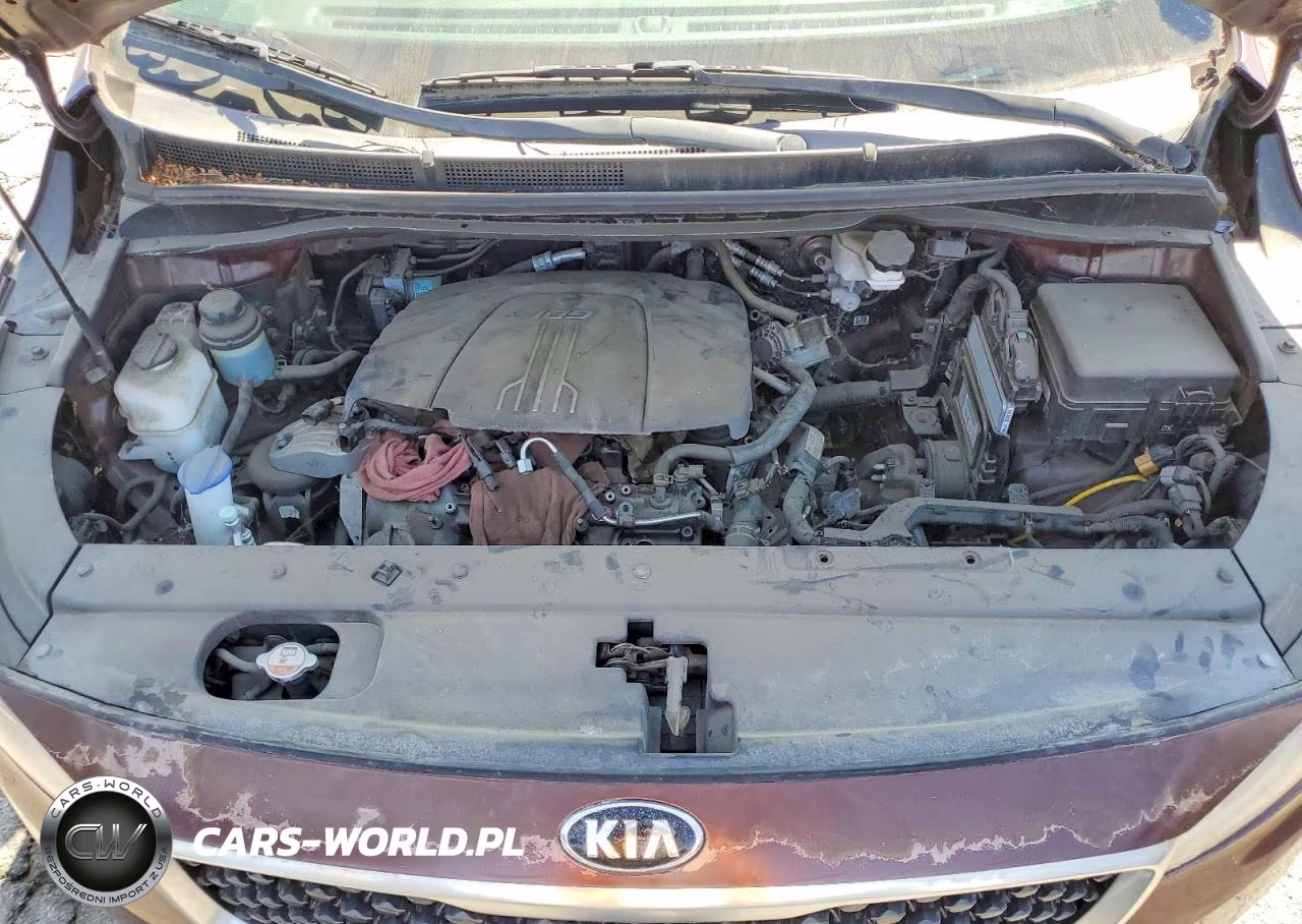 2017 Kia Sedona Lx VIN:KNDMB5C18H6266288 - 12