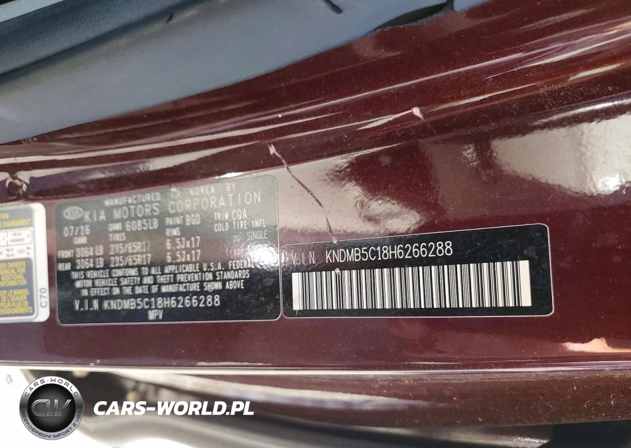 2017 Kia Sedona Lx VIN:KNDMB5C18H6266288 - 13
