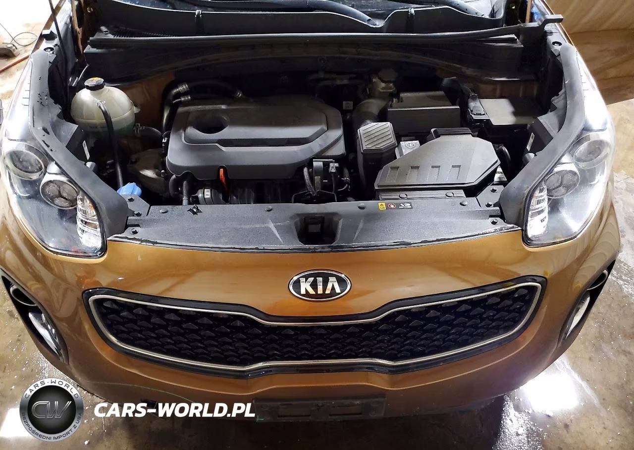 2017 Kia Sportage Lx VIN:KNDPMCAC0H7184601 - 12