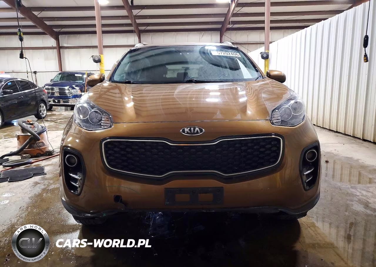 2017 Kia Sportage Lx VIN:KNDPMCAC0H7184601 - 5