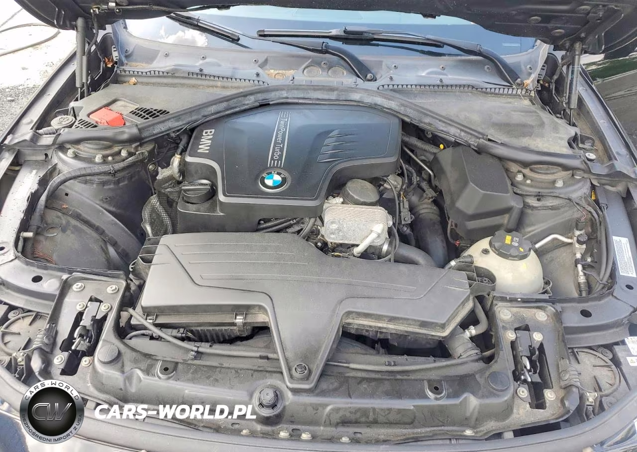 2015 BMW 428 Xi VIN:WBA3N9C53FK247601 - 11