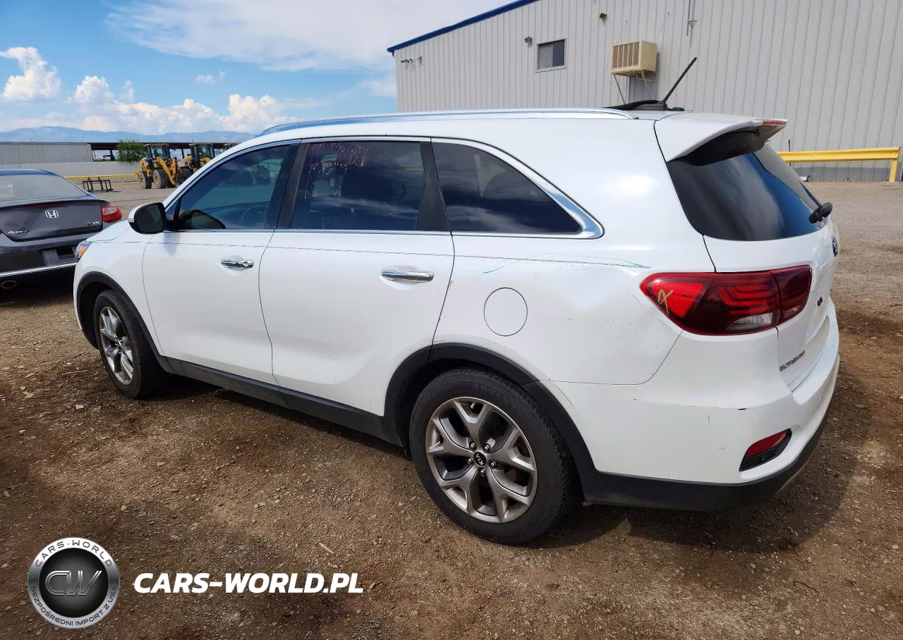 2019 Kia Sorento Ex Sport VIN:5XYPH4A55KG599001 - 2
