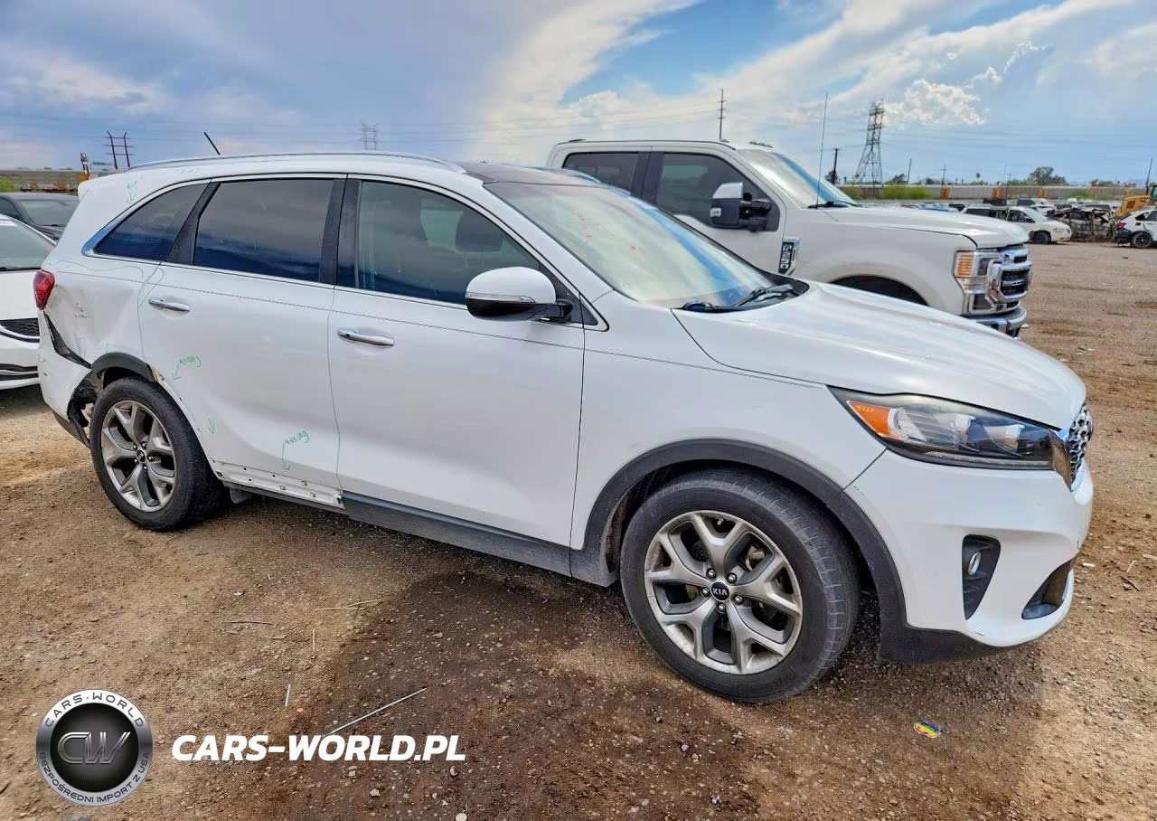 2019 Kia Sorento Ex Sport VIN:5XYPH4A55KG599001 - 4