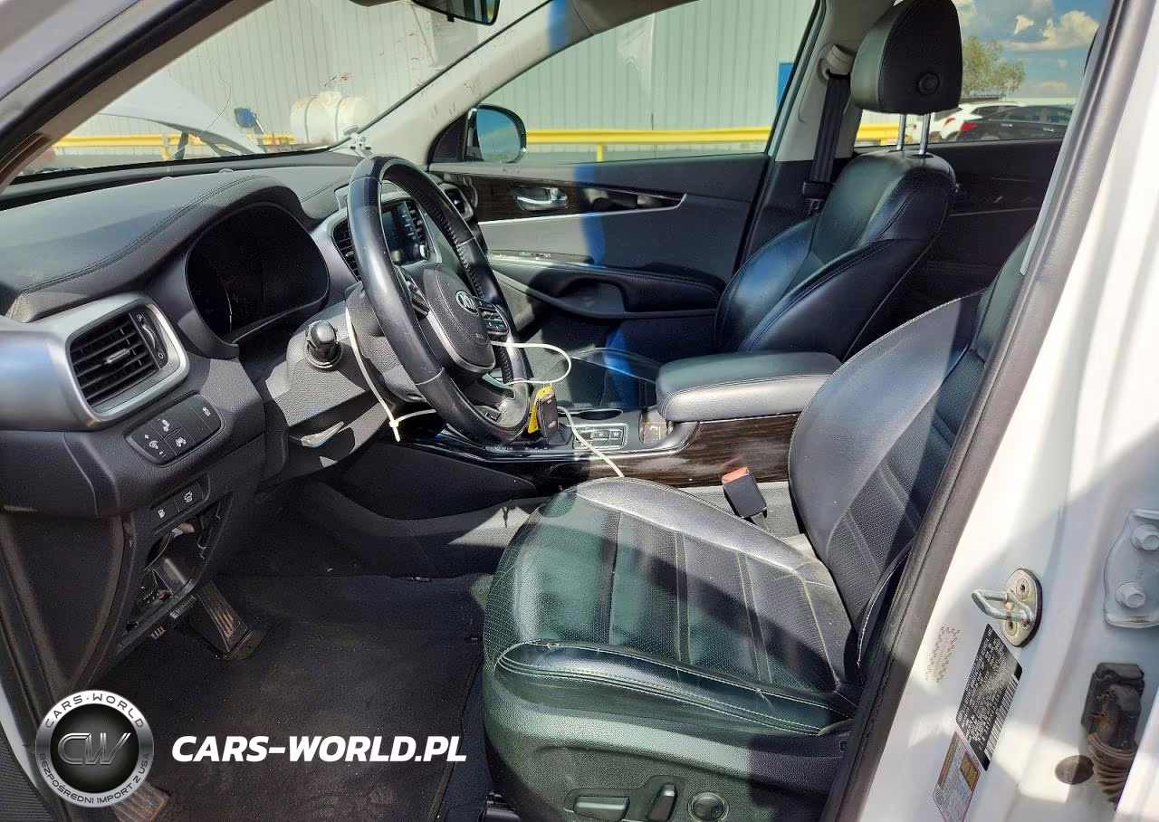2019 Kia Sorento Ex Sport VIN:5XYPH4A55KG599001 - 7