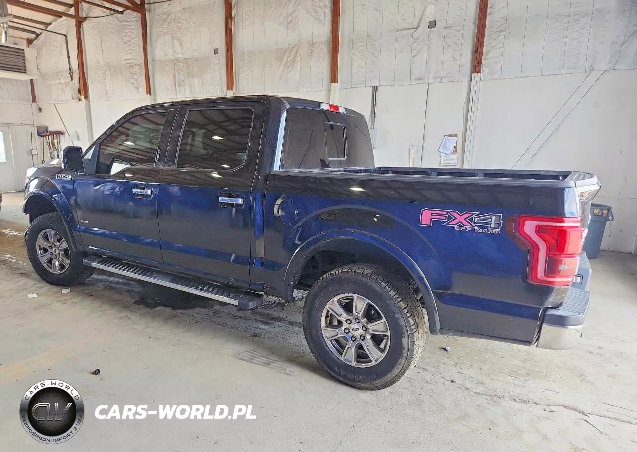 2016 Ford F150 Supercrew VIN:1FTEW1EP7GFB67396 - 2