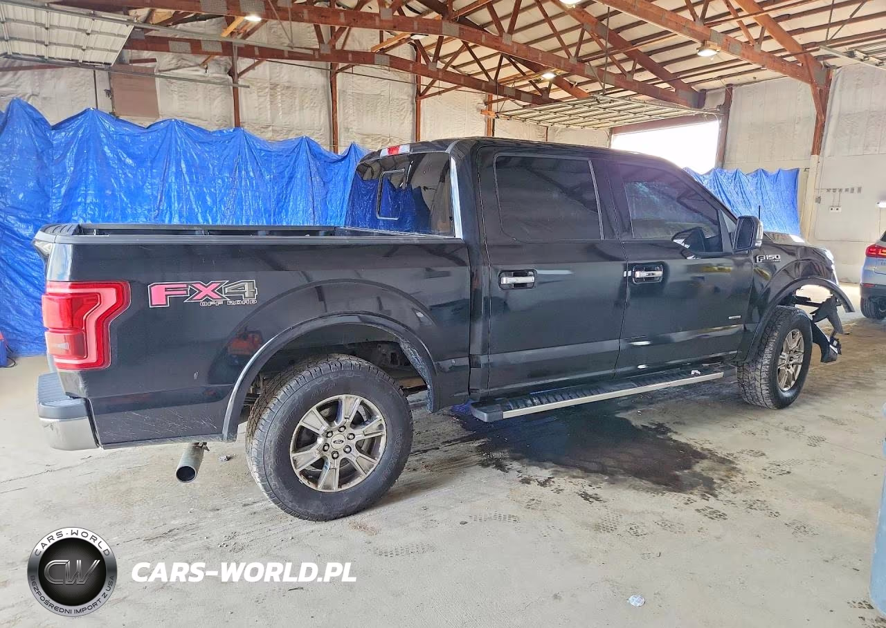 2016 Ford F150 Supercrew VIN:1FTEW1EP7GFB67396 - 3