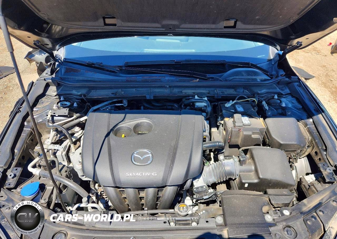 2019 Mazda 3 Preferred Plus VIN:JM1BPACL9K1110686 - 11