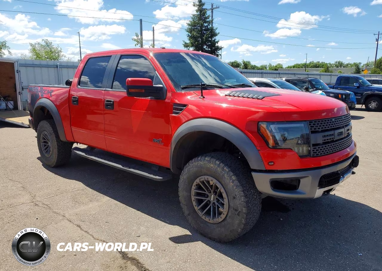 2013 Ford F150 Svt Raptor VIN:1FTFW1R60DFA53659 - 4