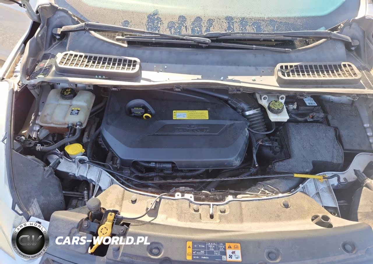 2013 Ford Escape VIN:1FMCU0GX4DUC44118 - 12