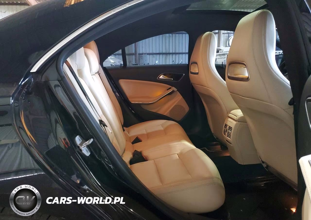 2014 Mercedes-Benz Cla 250 VIN:WDDSJ4EB2EN060059 - 10