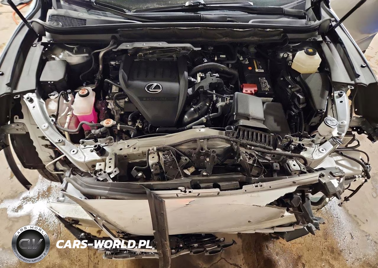 2023 Lexus Rx 350 Premium VIN:2T2BAMCA5PC010875 - 12