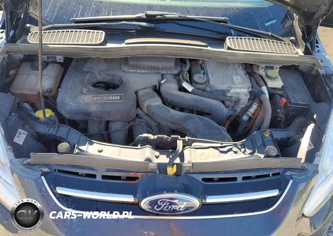 2017 Ford C-Max Se VIN:1FADP5AU6HL113074 - 11