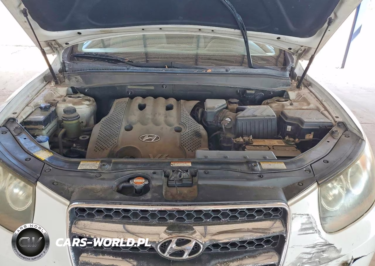 2007 Hyundai Santa Fe Gls VIN:5NMSG13D67H093173 - 11