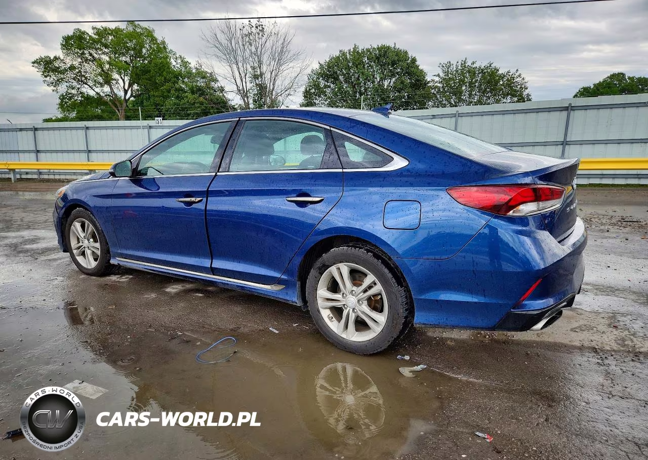 2019 Hyundai Sonata Sport VIN:5NPE34AF7KH811744 - 2