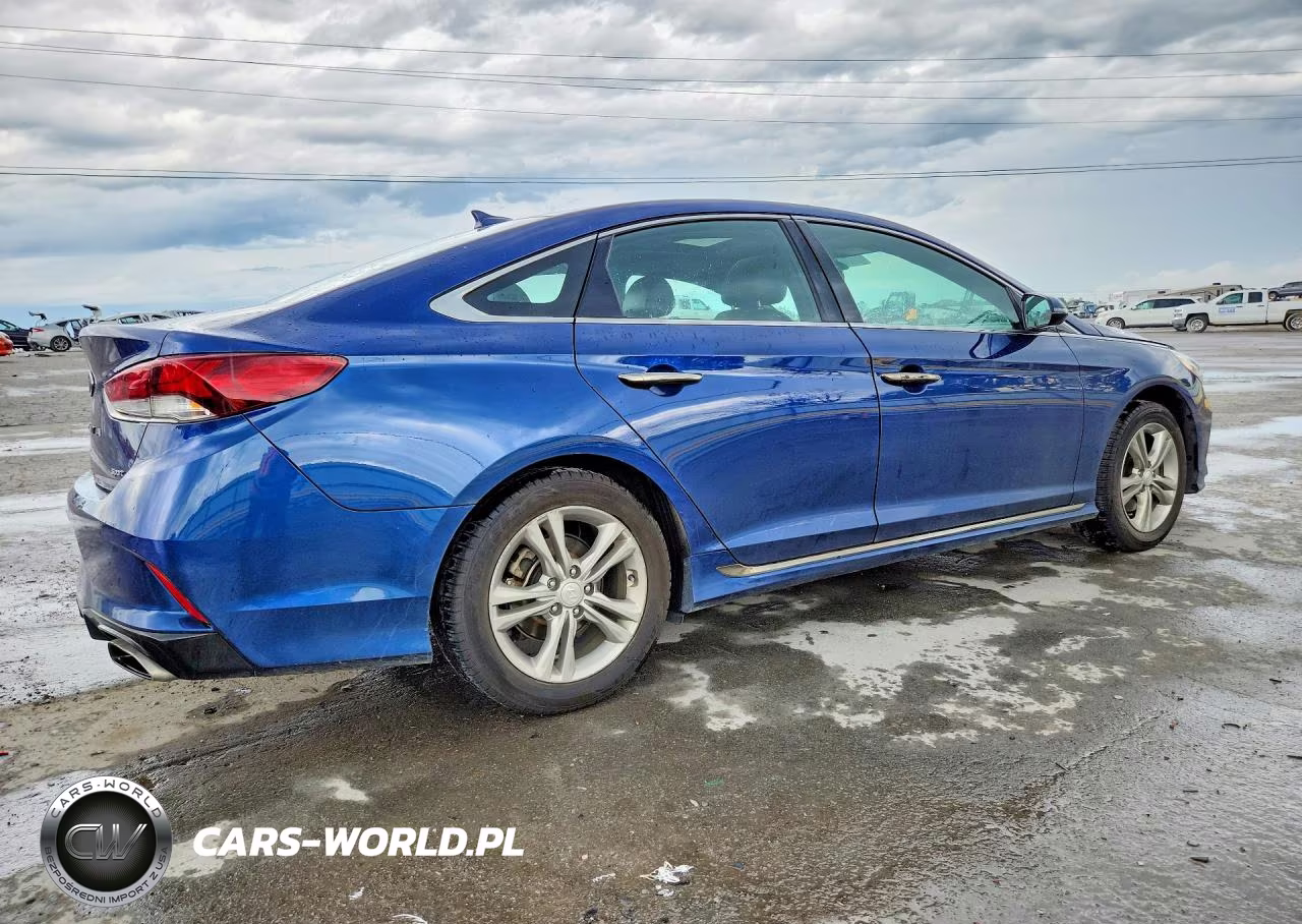 2019 Hyundai Sonata Sport VIN:5NPE34AF7KH811744 - 3