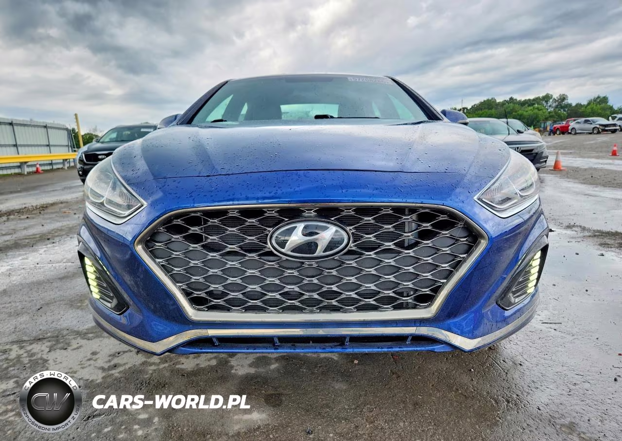 2019 Hyundai Sonata Sport VIN:5NPE34AF7KH811744 - 5