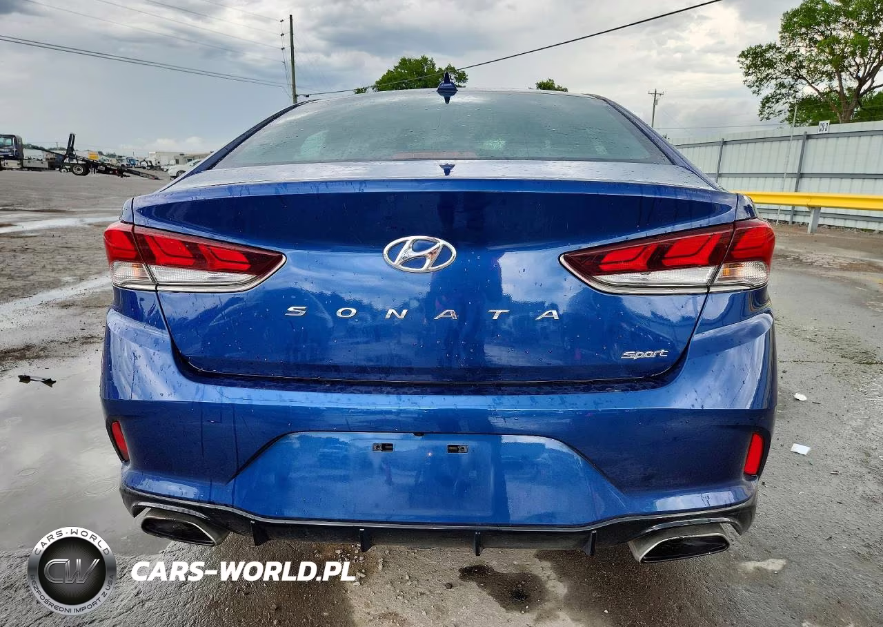 2019 Hyundai Sonata Sport VIN:5NPE34AF7KH811744 - 6
