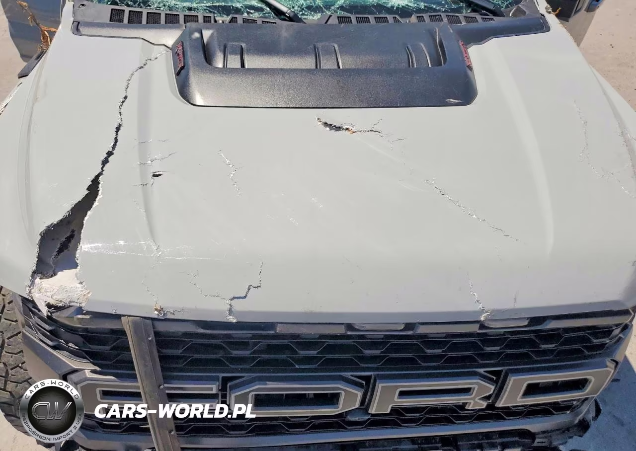 2023 Ford F150 Raptor VIN:1FTFW1RG2PFA56690 - 11