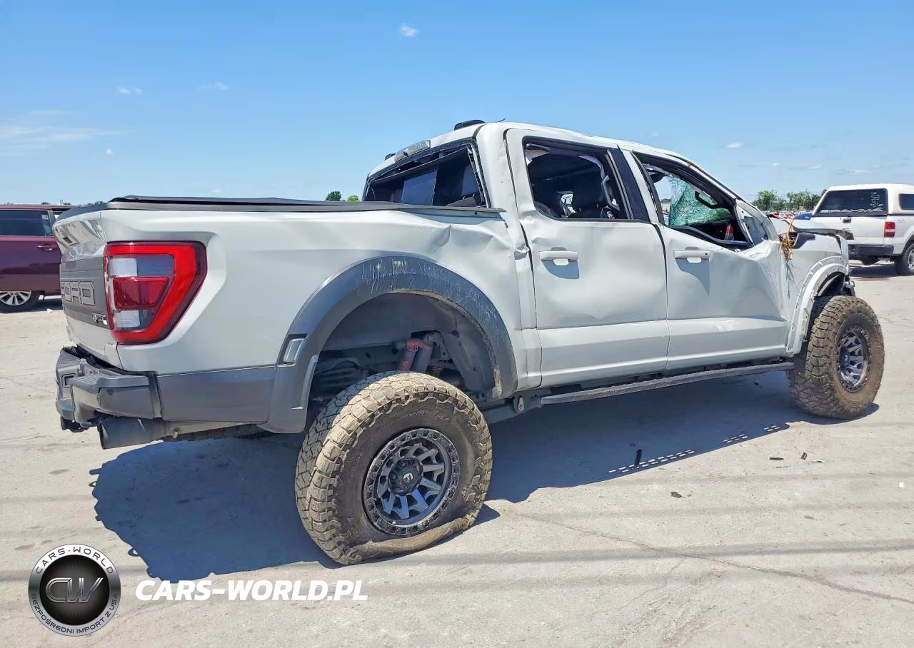 2023 Ford F150 Raptor VIN:1FTFW1RG2PFA56690 - 3