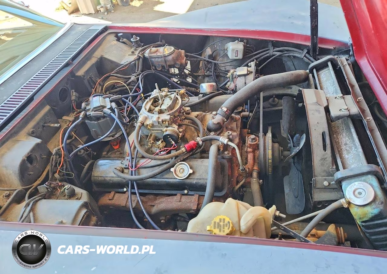 1968 Chevrolet Corvette VIN:194378S420546 - 11