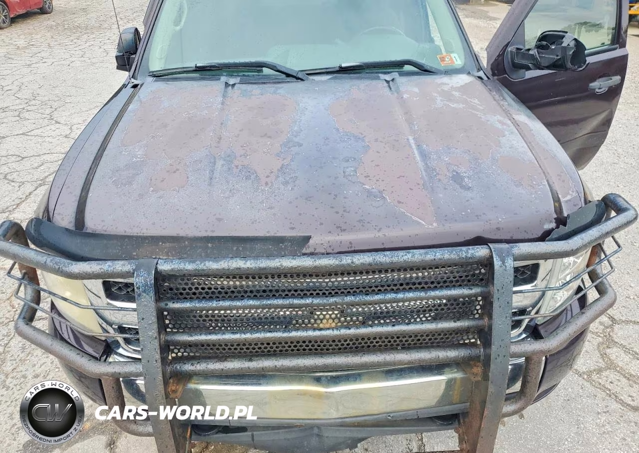 2008 Chevrolet Silverado K1500 VIN:1GCEK19J88Z159308 - 11