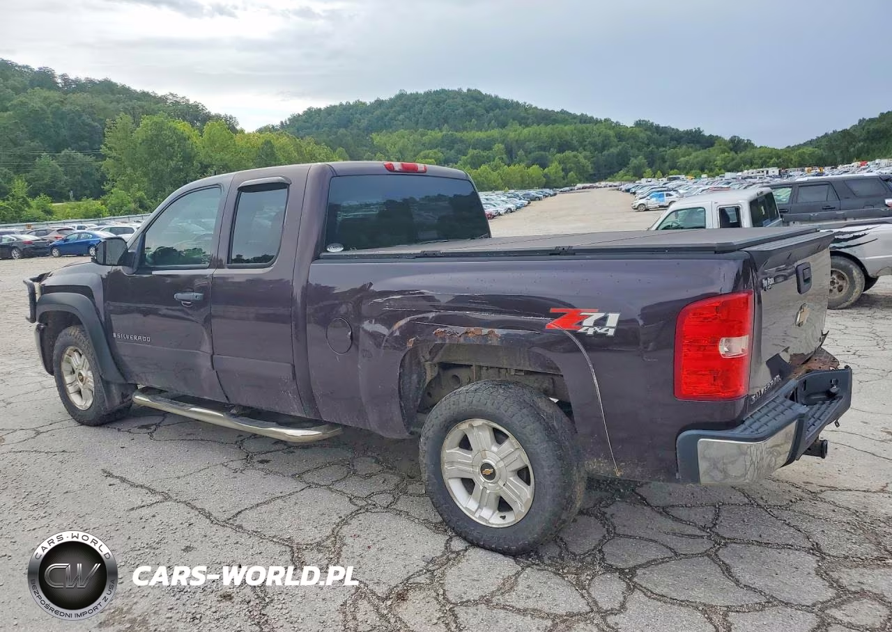 2008 Chevrolet Silverado K1500 VIN:1GCEK19J88Z159308 - 2