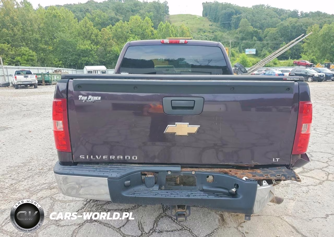 2008 Chevrolet Silverado K1500 VIN:1GCEK19J88Z159308 - 6