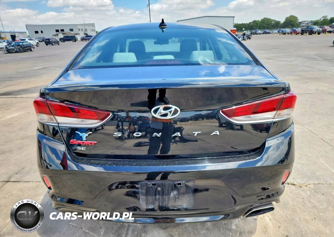 2019 Hyundai Sonata VIN:5NPE24AFXKH796160 - 6