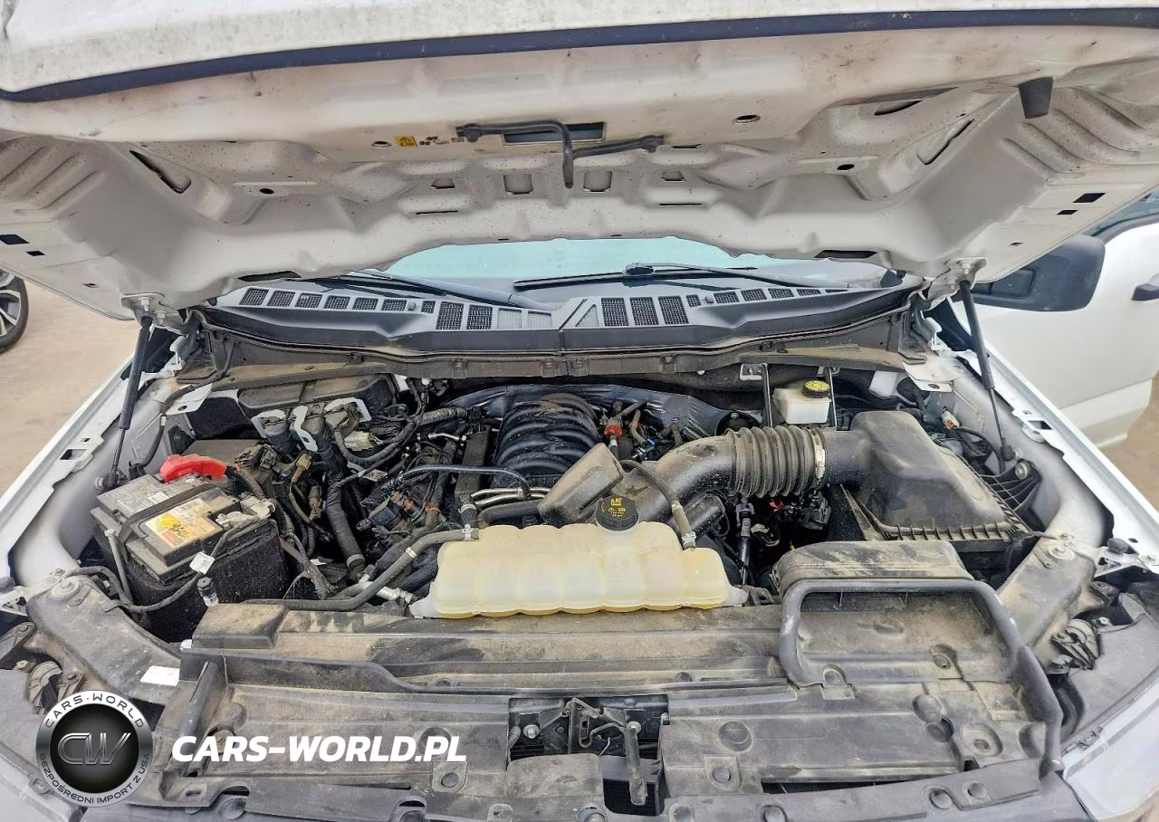 2023 Ford F150 Super Cab VIN:1FTEX1C54PKG02056 - 11