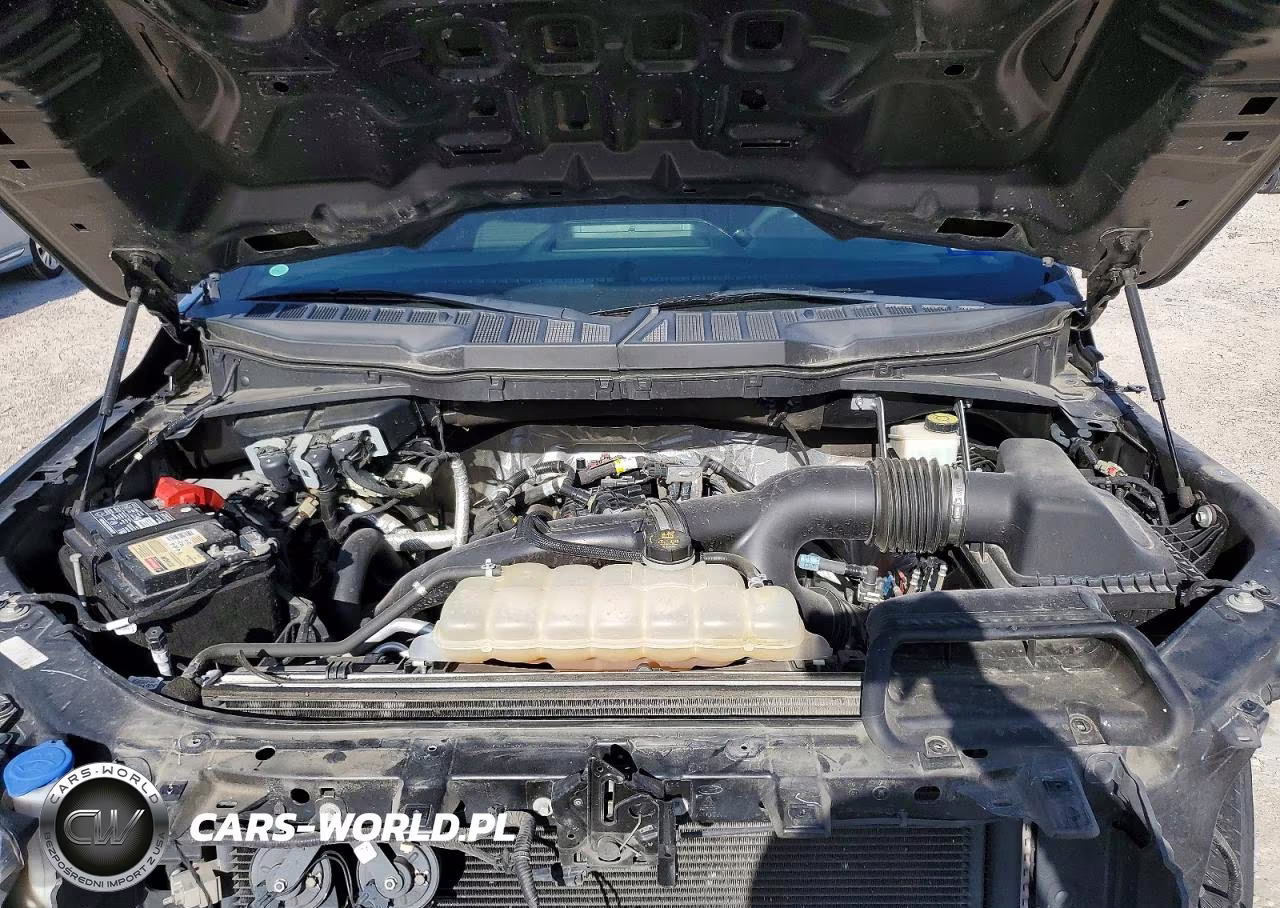 2021 Ford F150 Supercrew VIN:1FTEW1CP5MFB26795 - 11