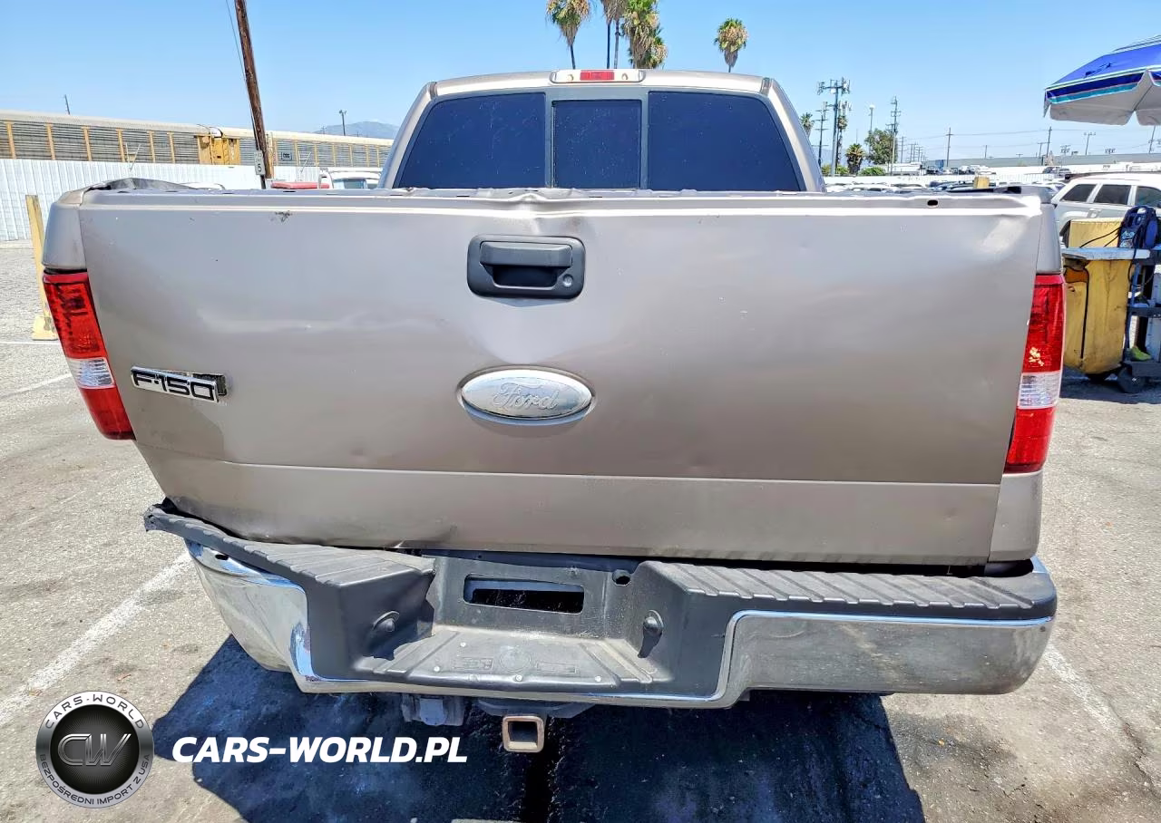 2006 Ford F150 VIN:1FTRX12W96KB62068 - 6