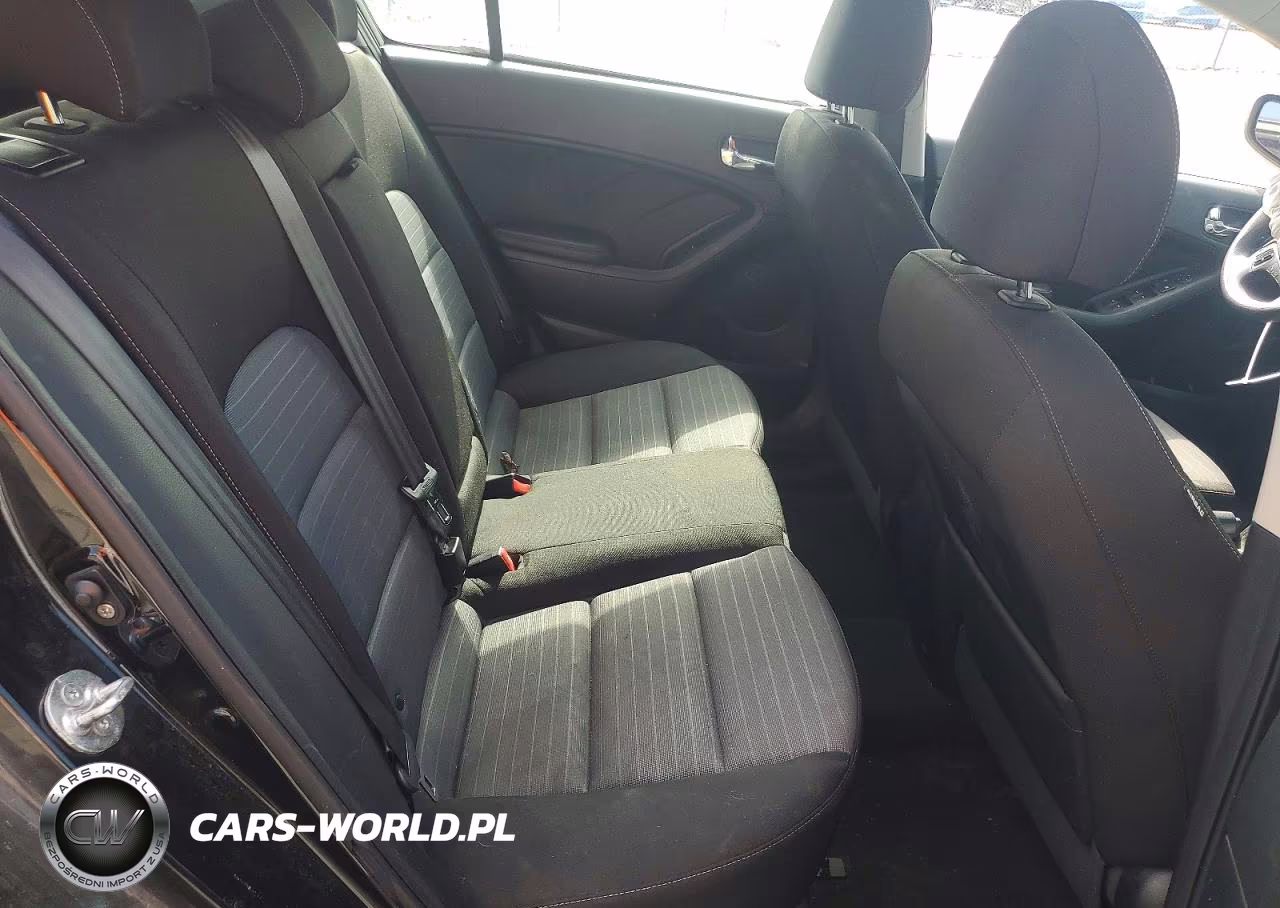 2016 Kia Forte Lx VIN:KNAFK5A80G5525267 - 10