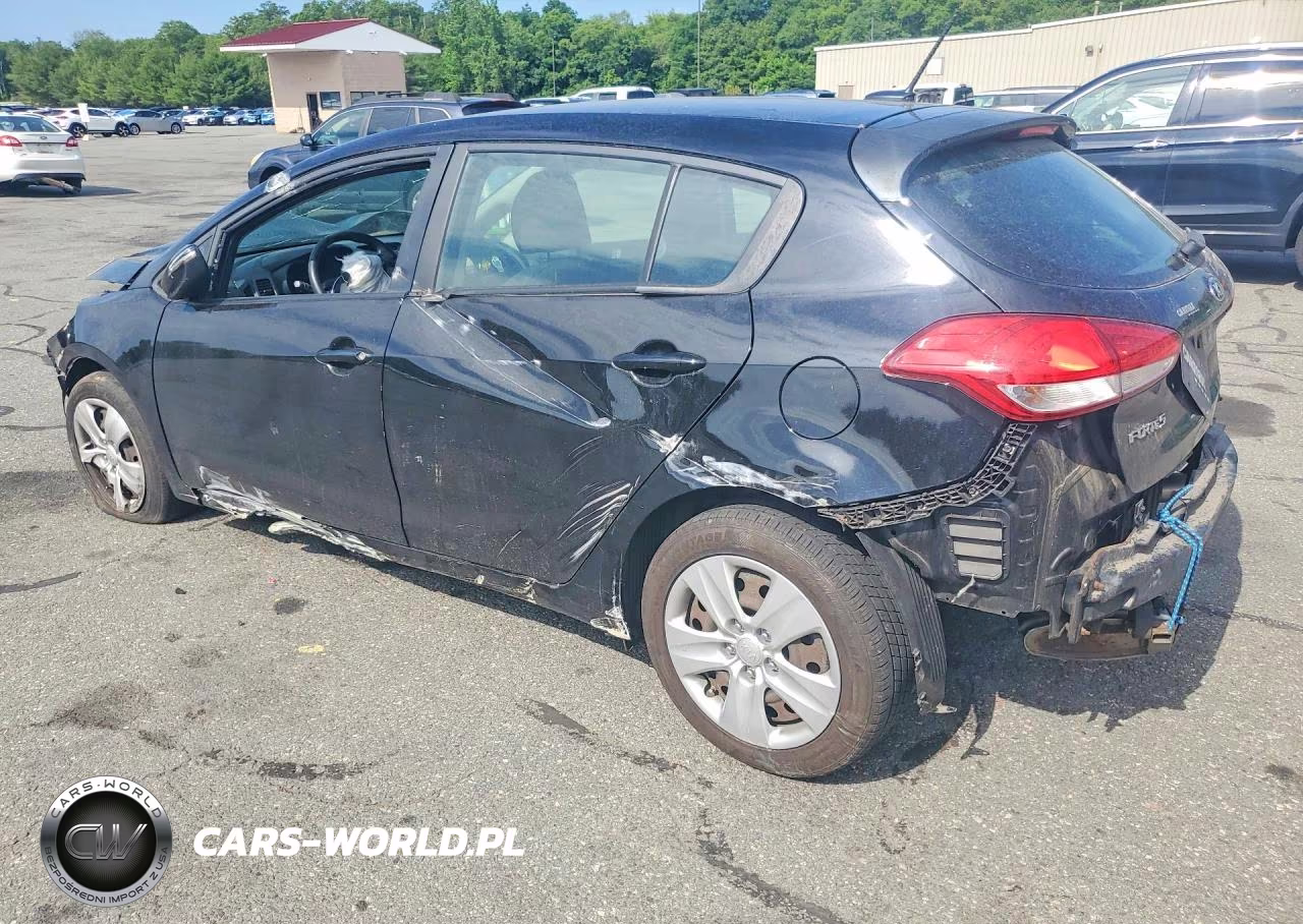 2016 Kia Forte Lx VIN:KNAFK5A80G5525267 - 2