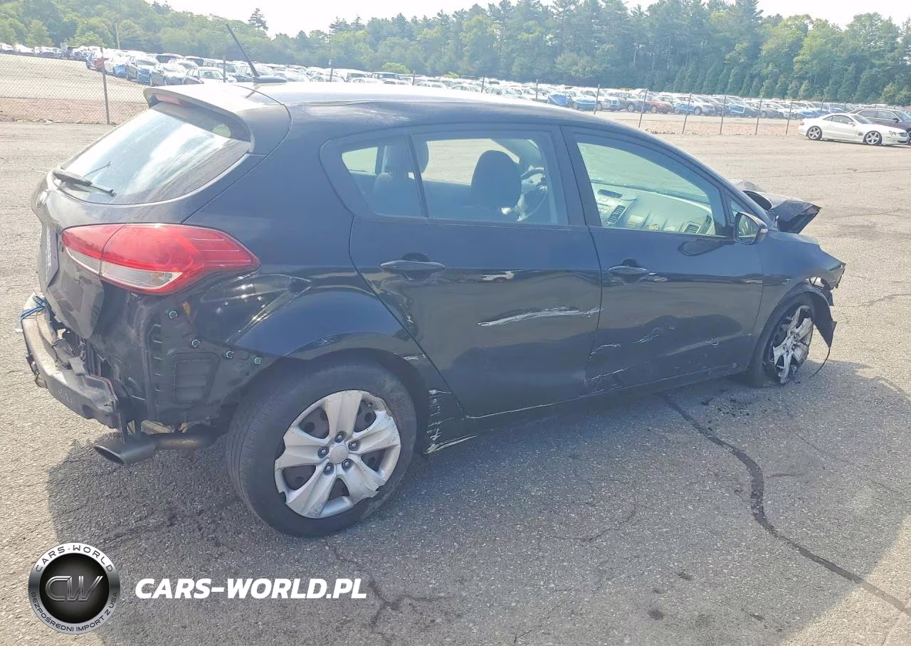 2016 Kia Forte Lx VIN:KNAFK5A80G5525267 - 3