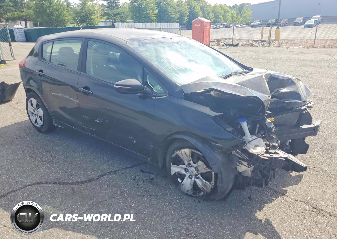 2016 Kia Forte Lx VIN:KNAFK5A80G5525267 - 4