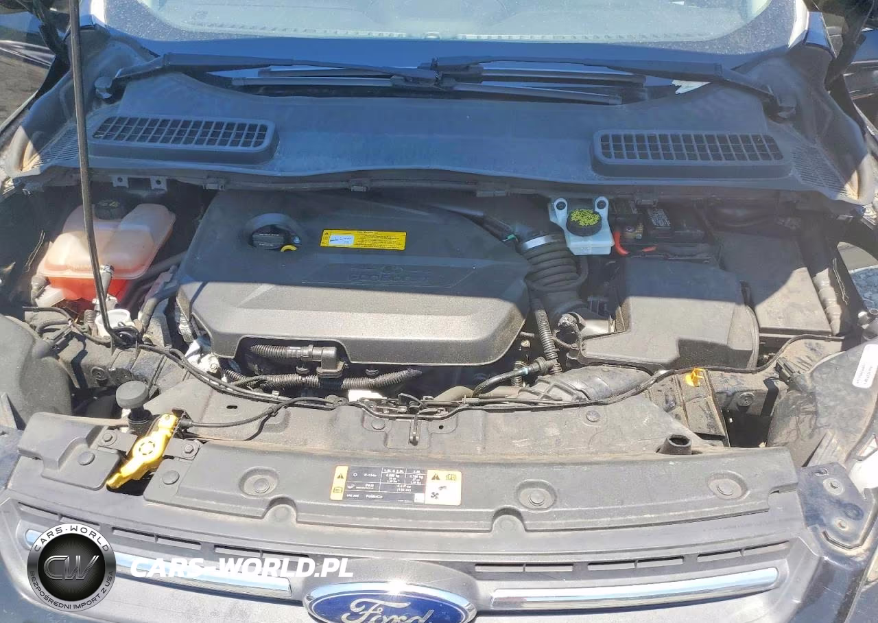 2016 Ford Escape Se VIN:1FMCU0GX1GUC73273 - 12