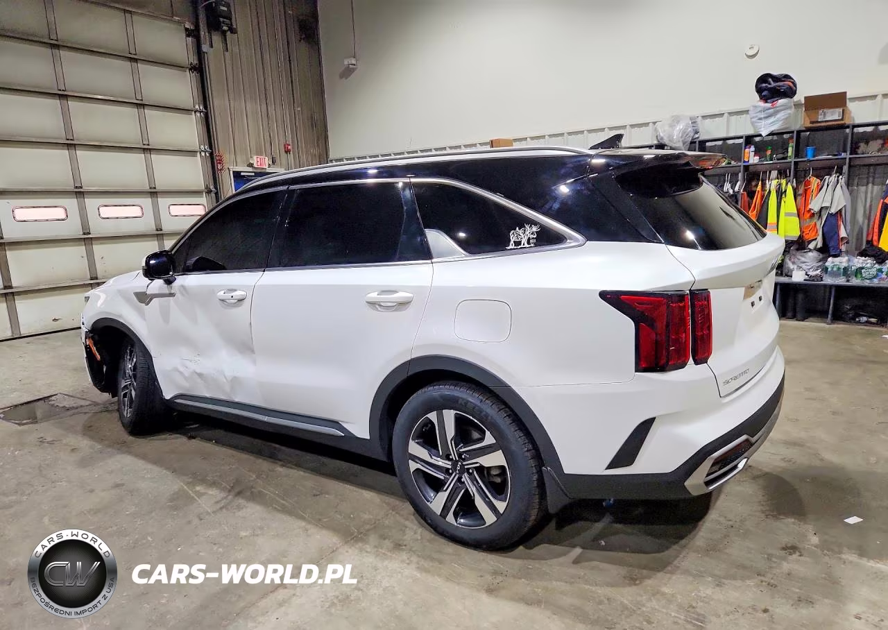 2023 Kia Sorento Sxp VIN:KNDRKDLG2P5152411 - 2