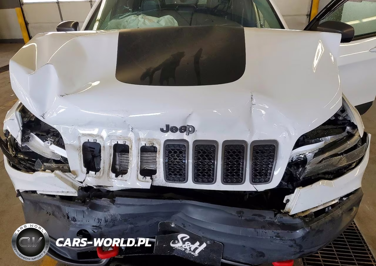 2019 Jeep Cherokee Trailhawk VIN:1C4PJMBX6KD210207 - 12