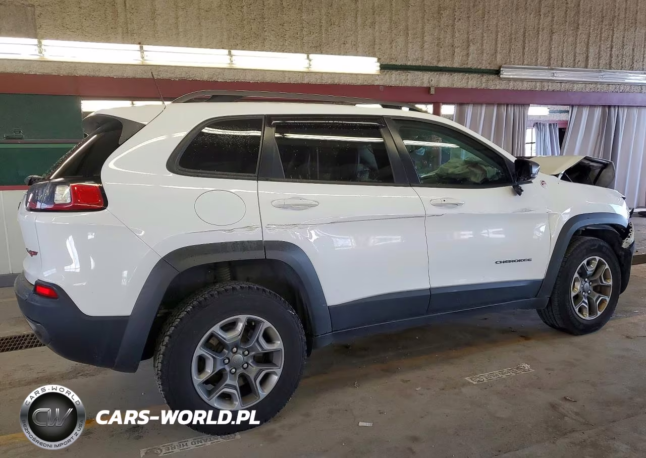 2019 Jeep Cherokee Trailhawk VIN:1C4PJMBX6KD210207 - 3