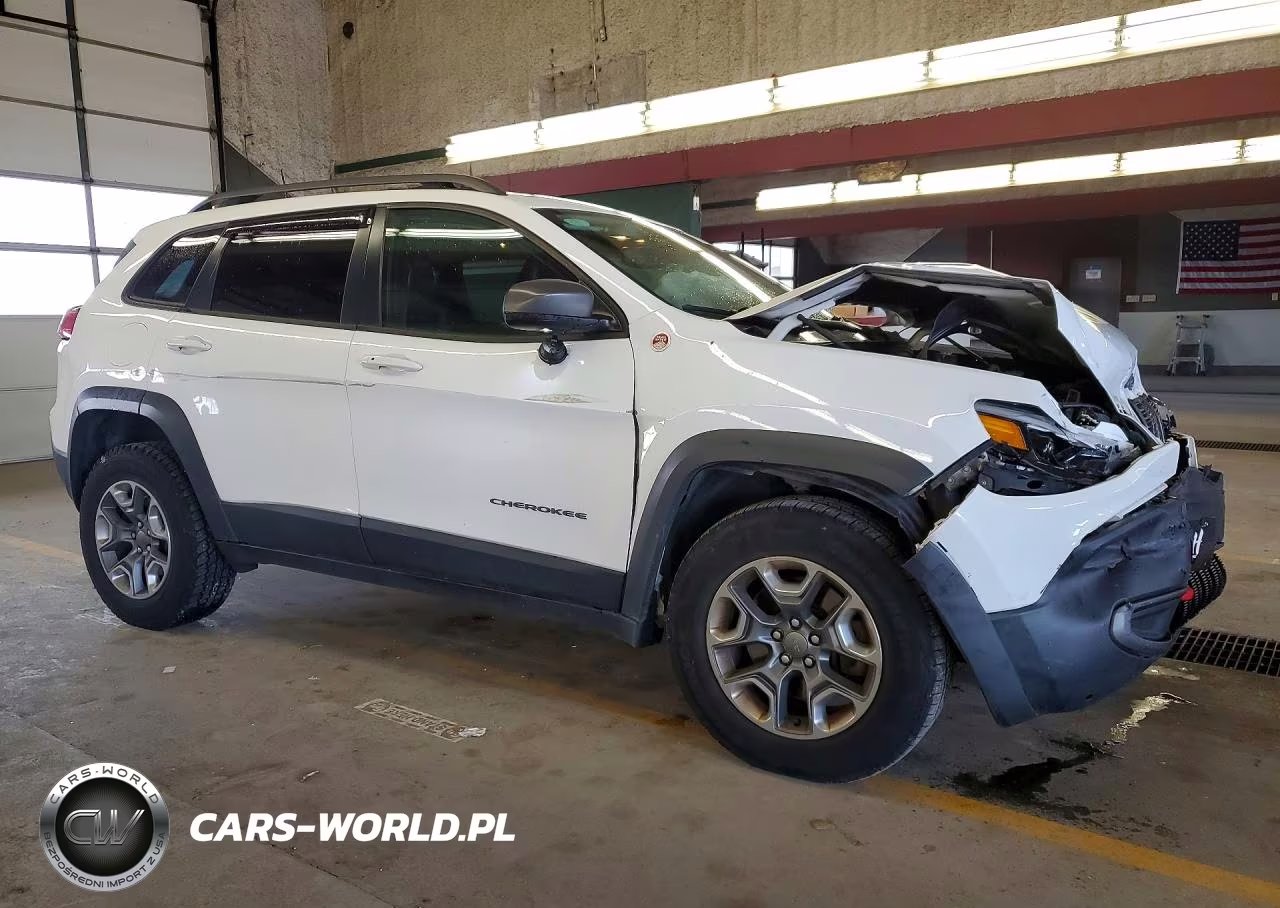 2019 Jeep Cherokee Trailhawk VIN:1C4PJMBX6KD210207 - 4