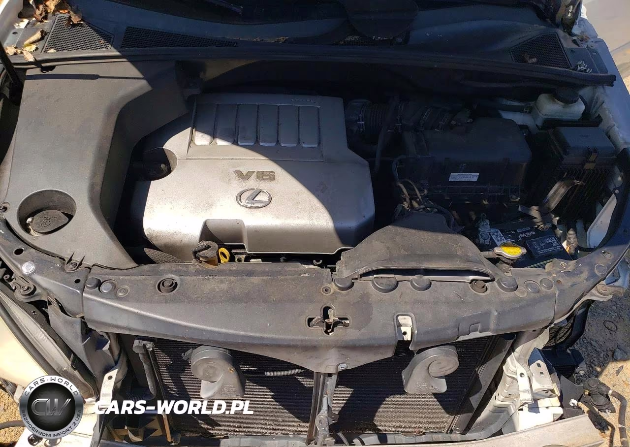 2007 Lexus Rx 350 VIN:2T2HK31U57C039520 - 12