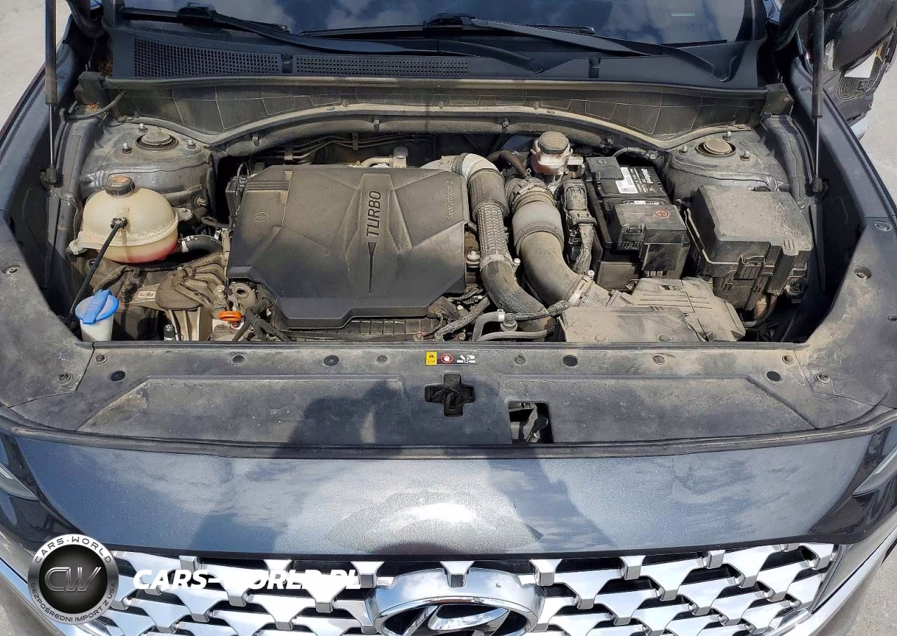 2021 Hyundai Santa Fe Limited VIN:5NMS44AL2MH319998 - 12