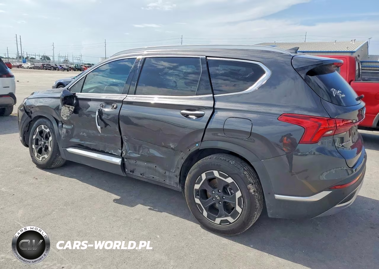 2021 Hyundai Santa Fe Limited VIN:5NMS44AL2MH319998 - 2