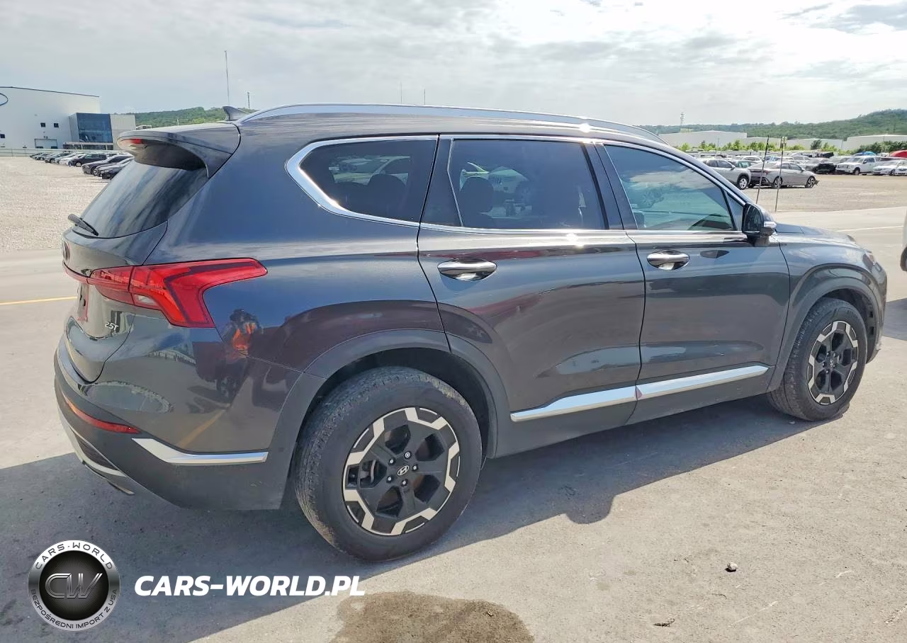 2021 Hyundai Santa Fe Limited VIN:5NMS44AL2MH319998 - 3
