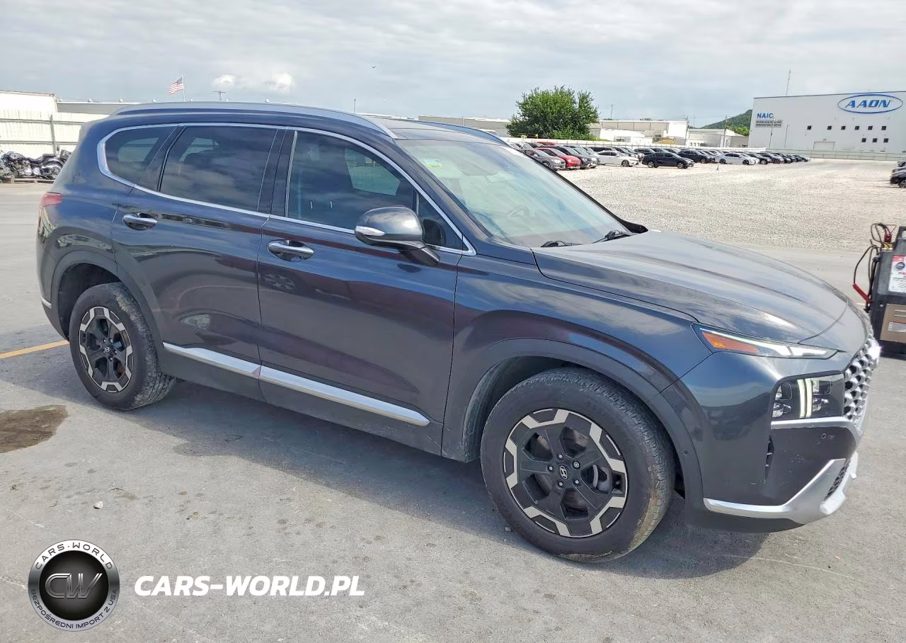 2021 Hyundai Santa Fe Limited VIN:5NMS44AL2MH319998 - 4
