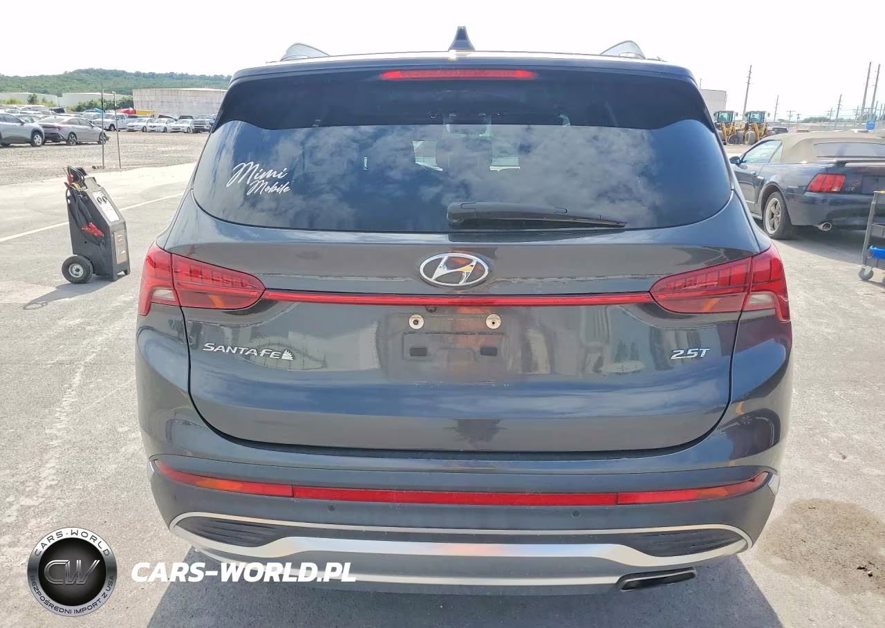 2021 Hyundai Santa Fe Limited VIN:5NMS44AL2MH319998 - 6